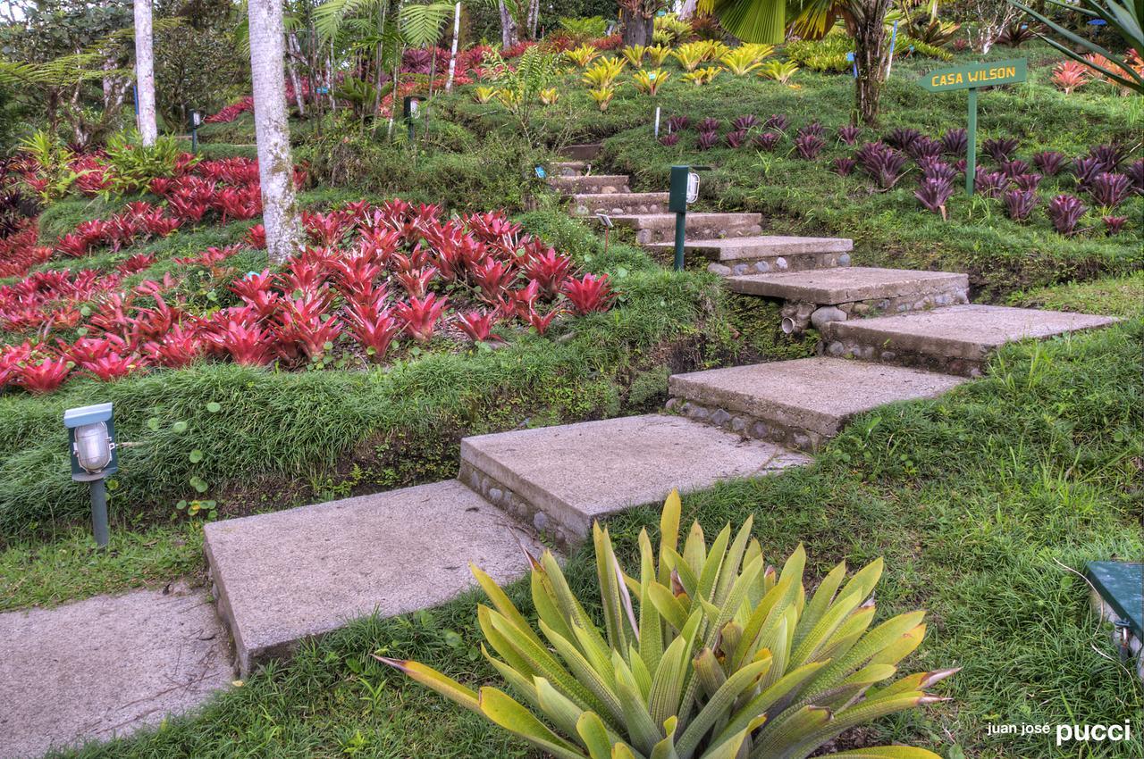 Estacion Biologica Las Cruces Y Jardin Botanico Wilson San Vito Buitenkant foto