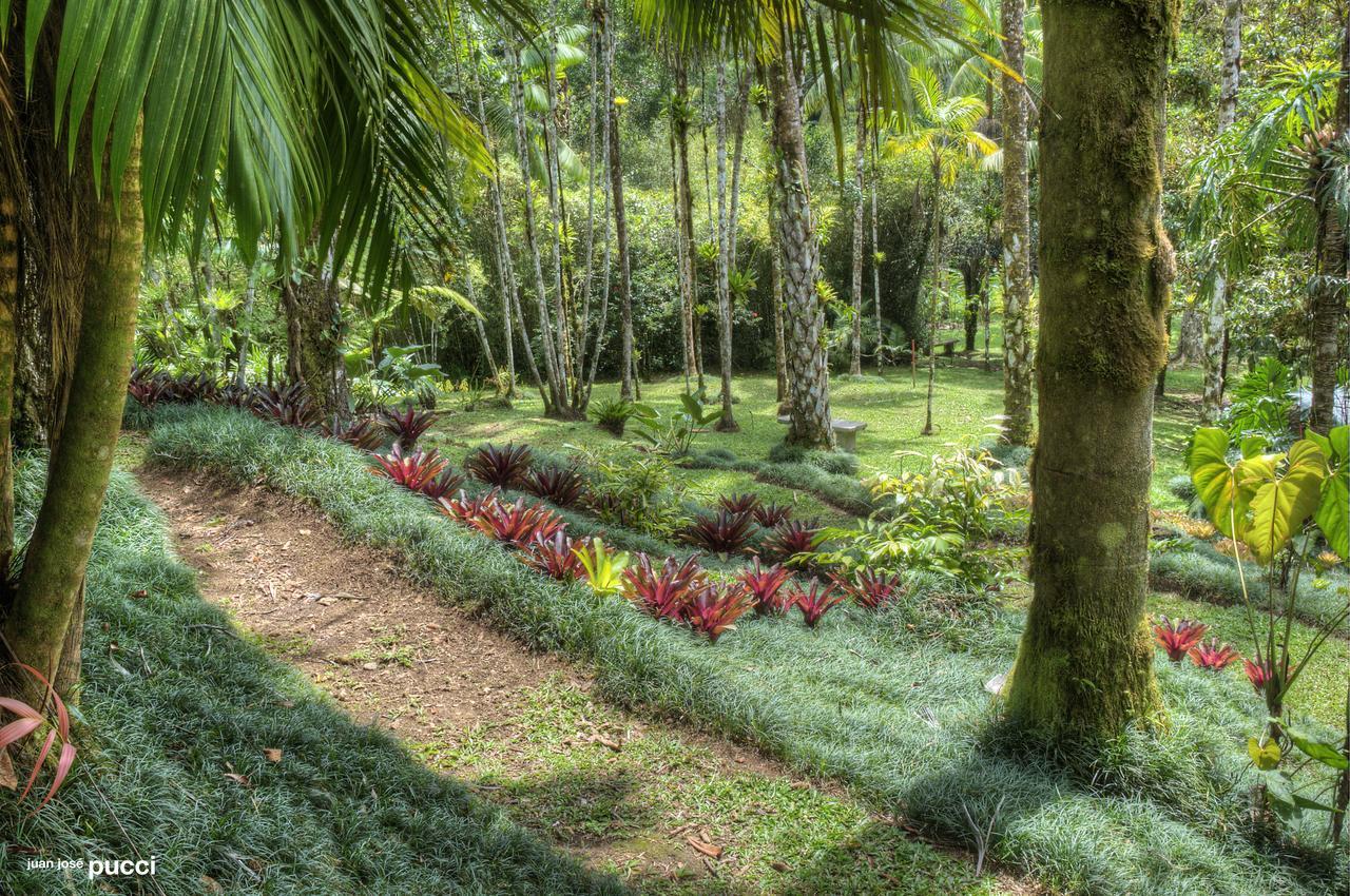 Estacion Biologica Las Cruces Y Jardin Botanico Wilson San Vito Buitenkant foto