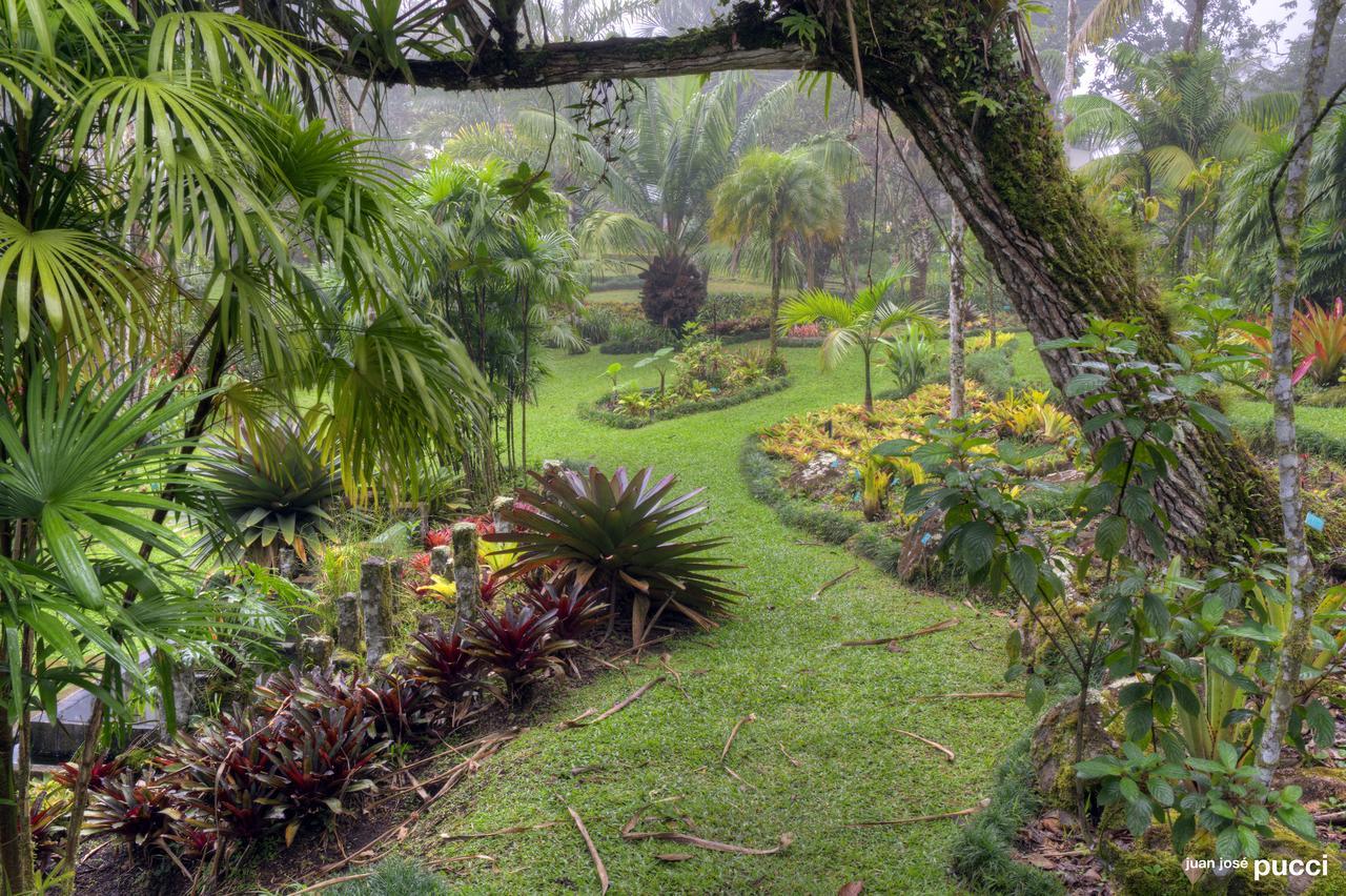Estacion Biologica Las Cruces Y Jardin Botanico Wilson San Vito Buitenkant foto