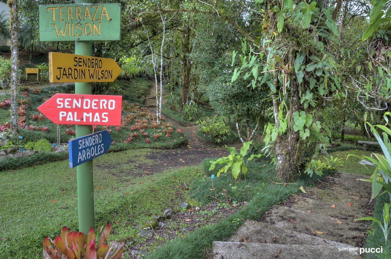 Estacion Biologica Las Cruces Y Jardin Botanico Wilson San Vito Buitenkant foto