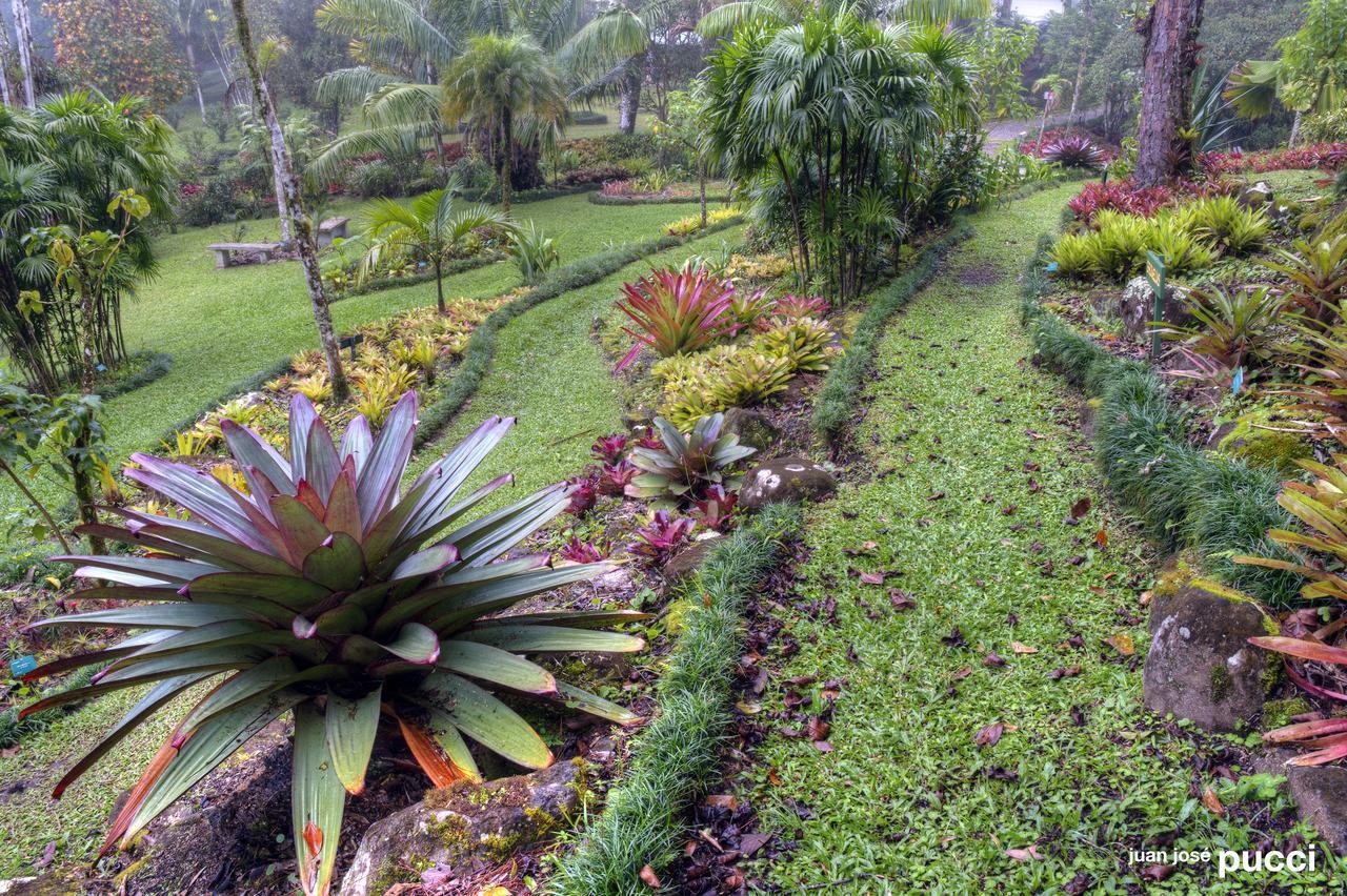 Estacion Biologica Las Cruces Y Jardin Botanico Wilson San Vito Buitenkant foto